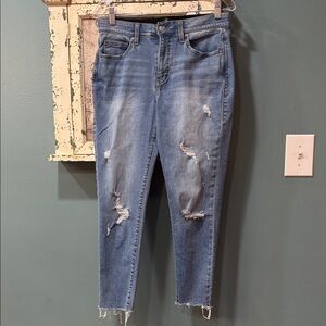 LuLaRoe Distressed Ankle Jeans in Blue